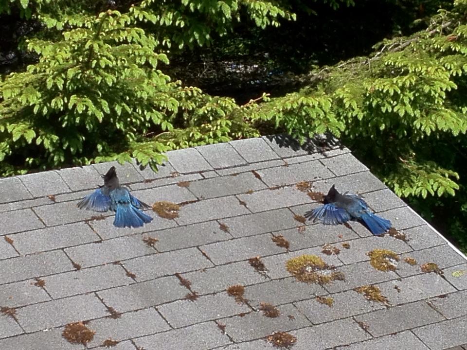 8700_10151659557941539_999970653_n